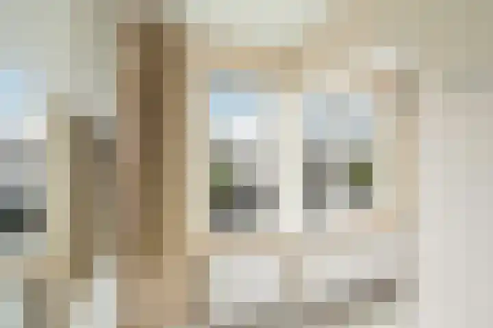 Meloengeel 13 Zoetermeer thumbnail 33