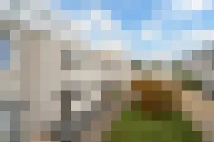 Meloengeel 13 Zoetermeer thumbnail 4