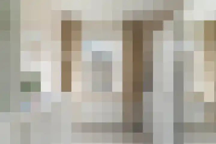 Meloengeel 13 Zoetermeer thumbnail 40