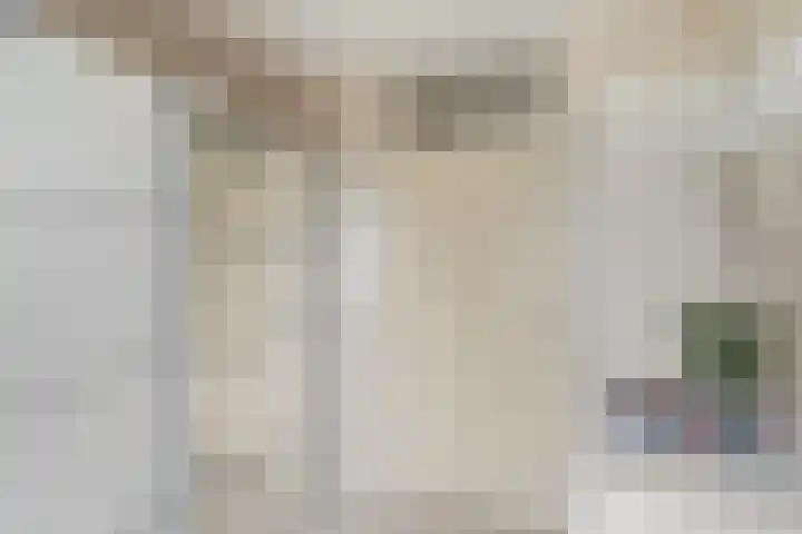 Meloengeel 13 Zoetermeer thumbnail 41