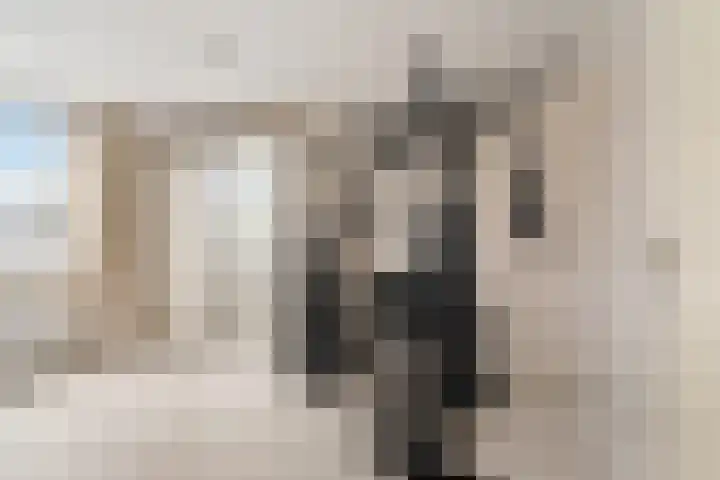 Meloengeel 13 Zoetermeer thumbnail 44
