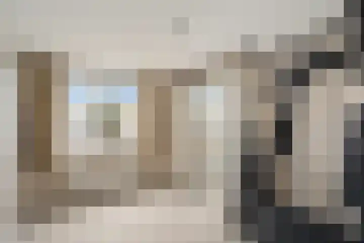 Meloengeel 13 Zoetermeer thumbnail 45