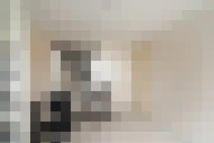 Meloengeel 13 Zoetermeer thumbnail 46