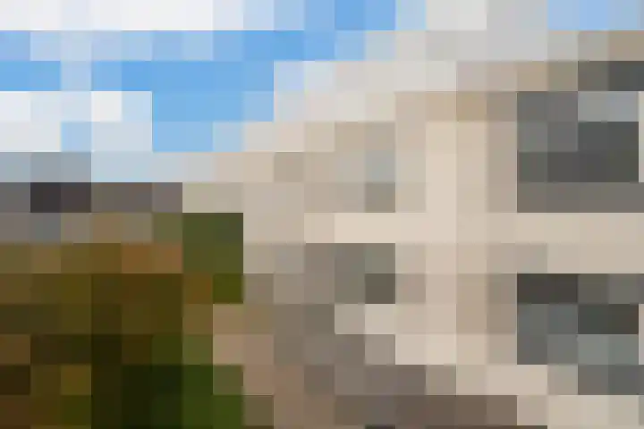 Meloengeel 13 Zoetermeer thumbnail 5