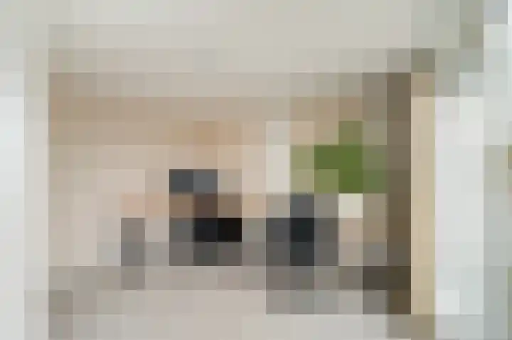 Meloengeel 13 Zoetermeer thumbnail 50