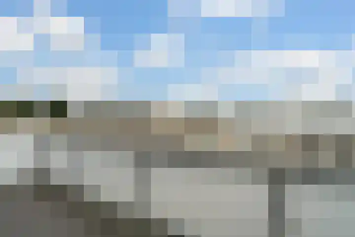 Meloengeel 13 Zoetermeer thumbnail 51