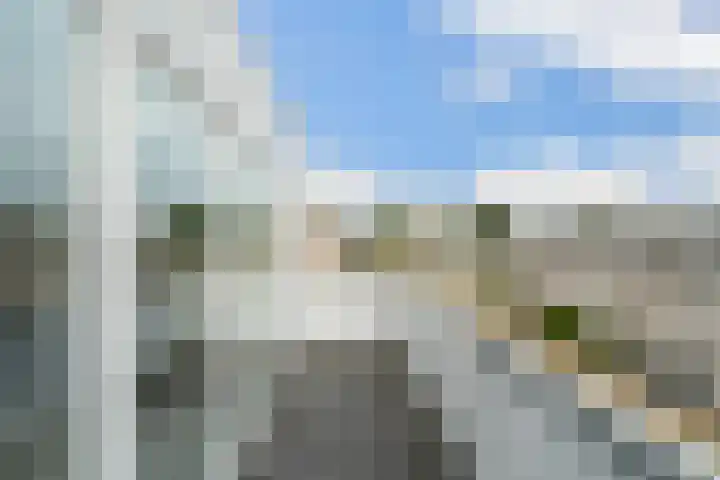 Meloengeel 13 Zoetermeer thumbnail 52