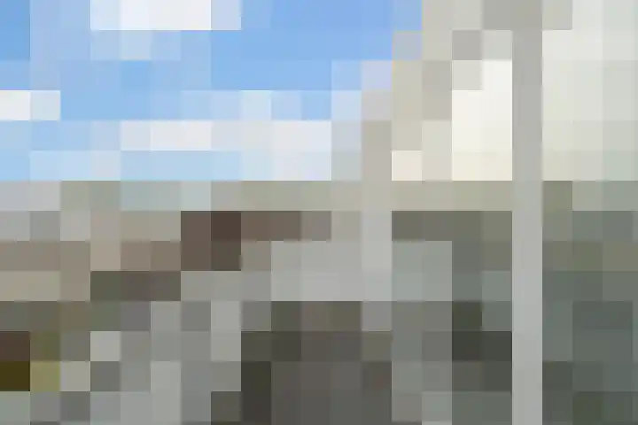 Meloengeel 13 Zoetermeer thumbnail 53