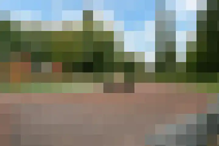 Meloengeel 13 Zoetermeer thumbnail 54