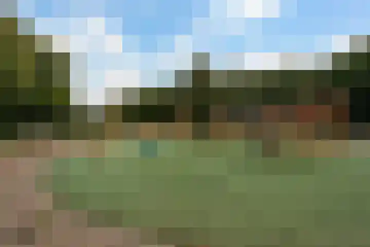Meloengeel 13 Zoetermeer thumbnail 55