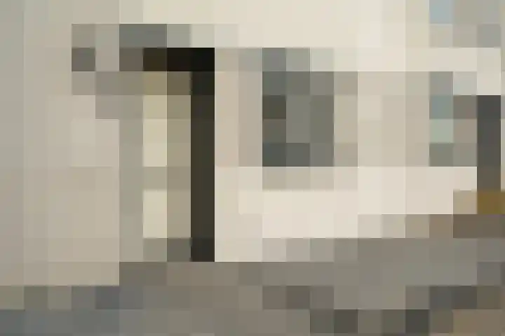 Meloengeel 13 Zoetermeer thumbnail 6