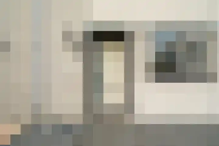 Meloengeel 13 Zoetermeer thumbnail 7