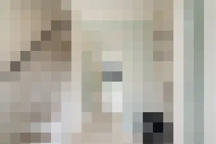 Meloengeel 13 Zoetermeer thumbnail 8