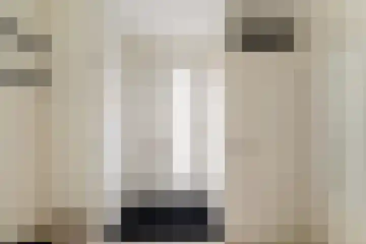 Meloengeel 13 Zoetermeer thumbnail 9