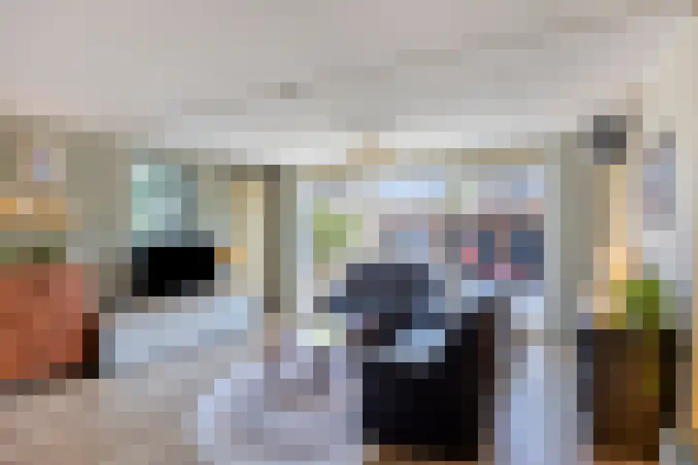 Meloengeel 2 Zoetermeer thumbnail 10