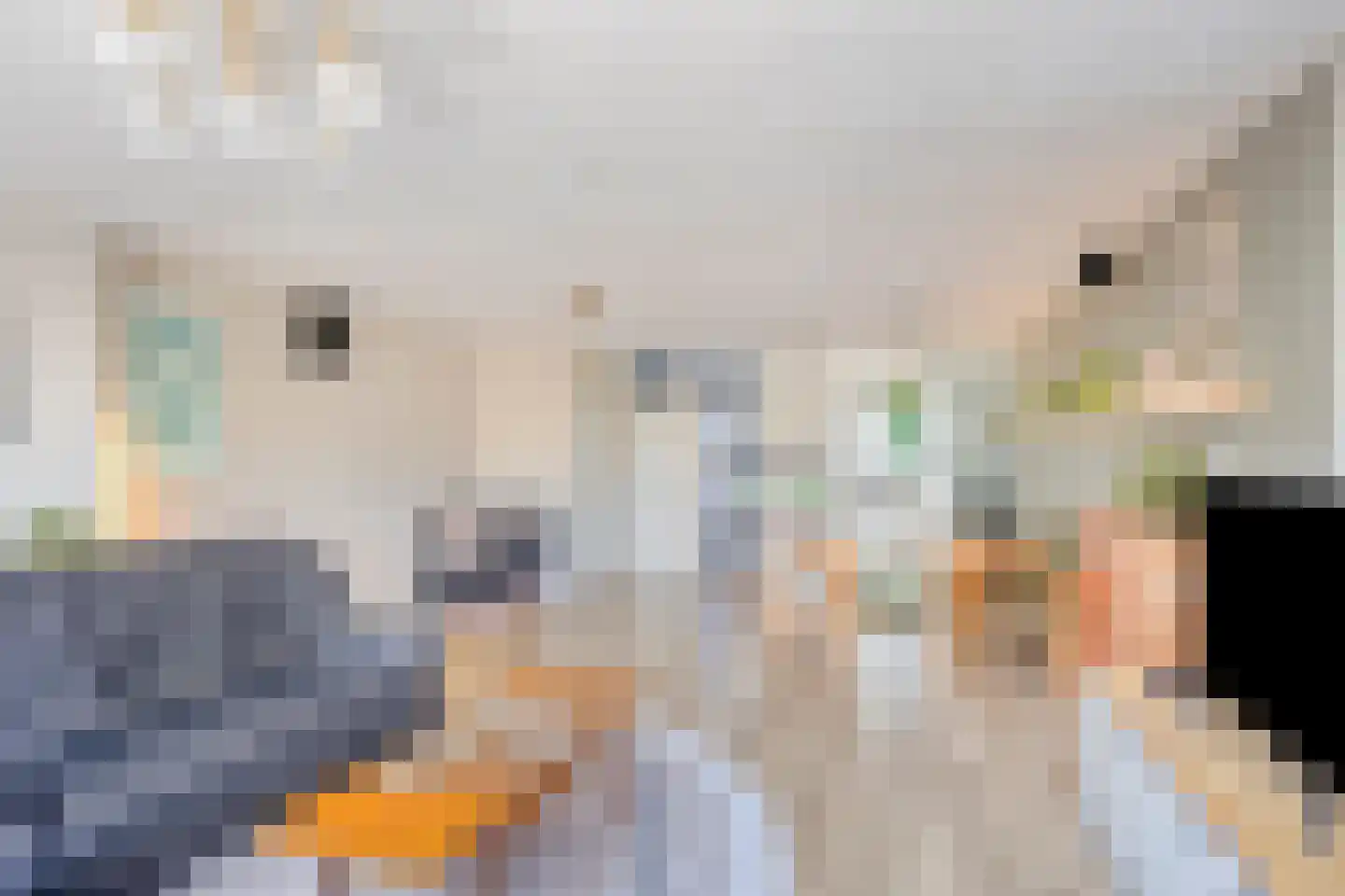 Meloengeel 2 Zoetermeer thumbnail 11