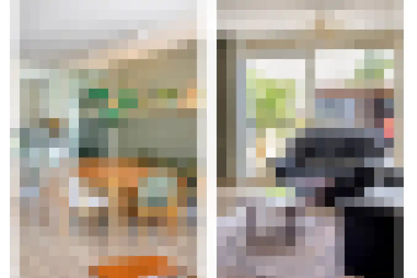 Meloengeel 2 Zoetermeer thumbnail 13