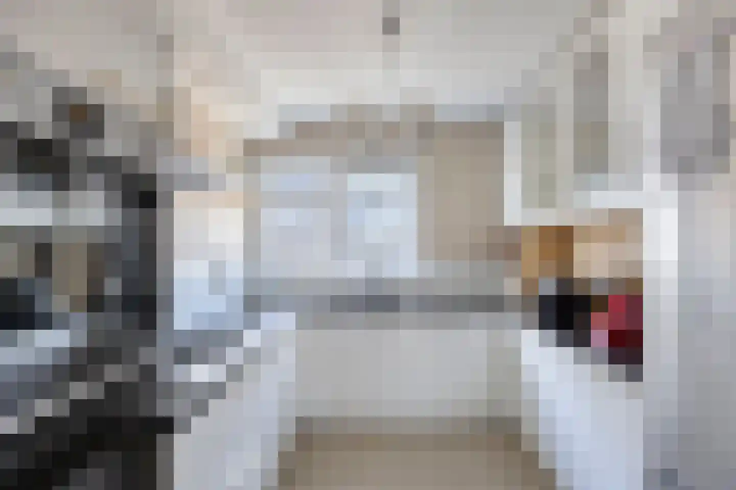 Meloengeel 2 Zoetermeer thumbnail 14