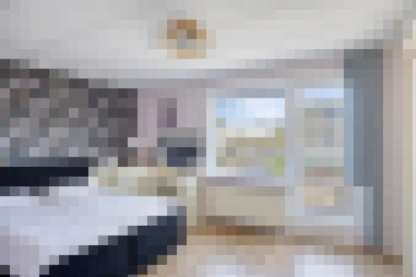 Meloengeel 2 Zoetermeer thumbnail 18
