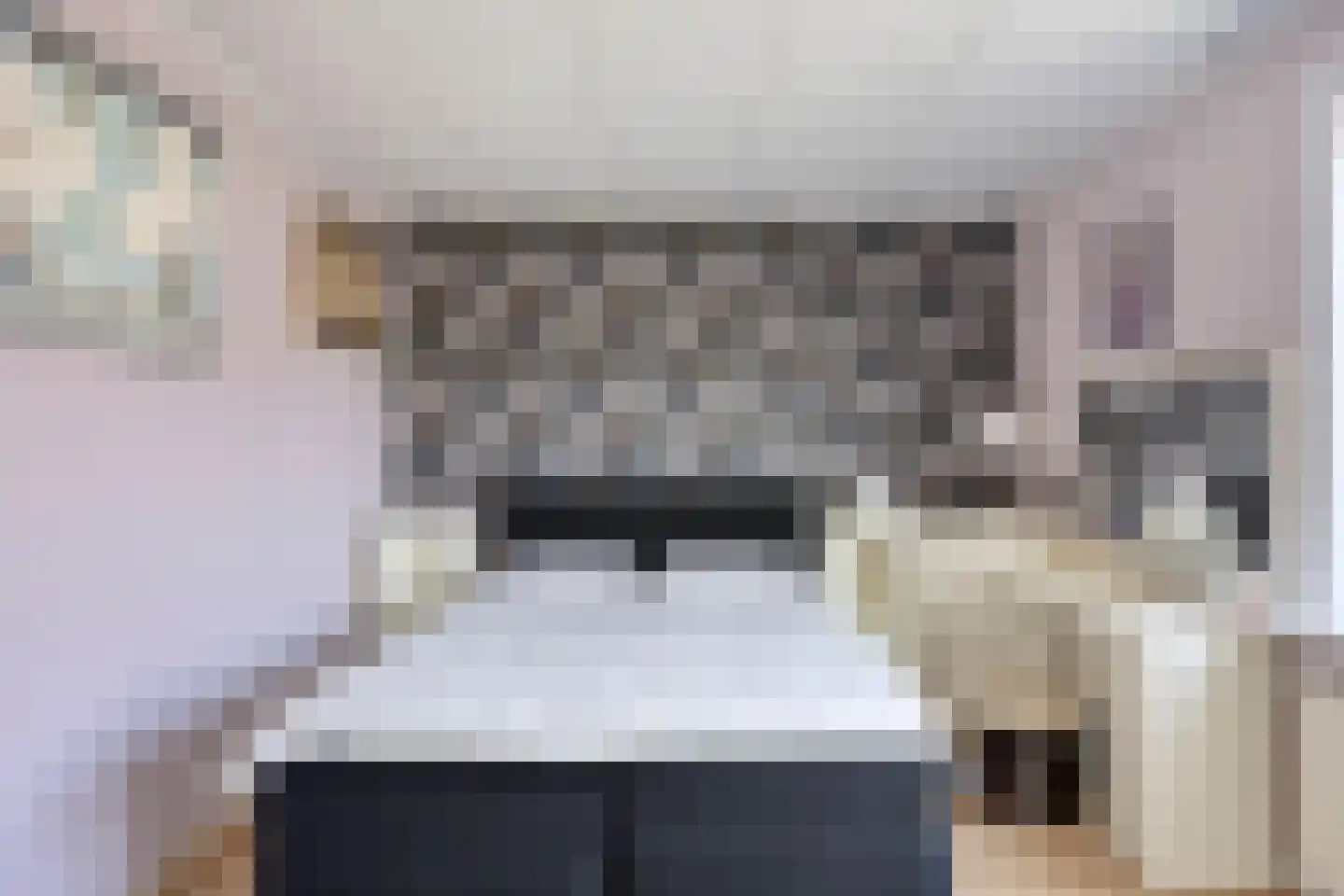 Meloengeel 2 Zoetermeer thumbnail 19