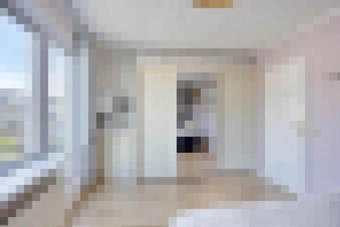 Meloengeel 2 Zoetermeer thumbnail 20