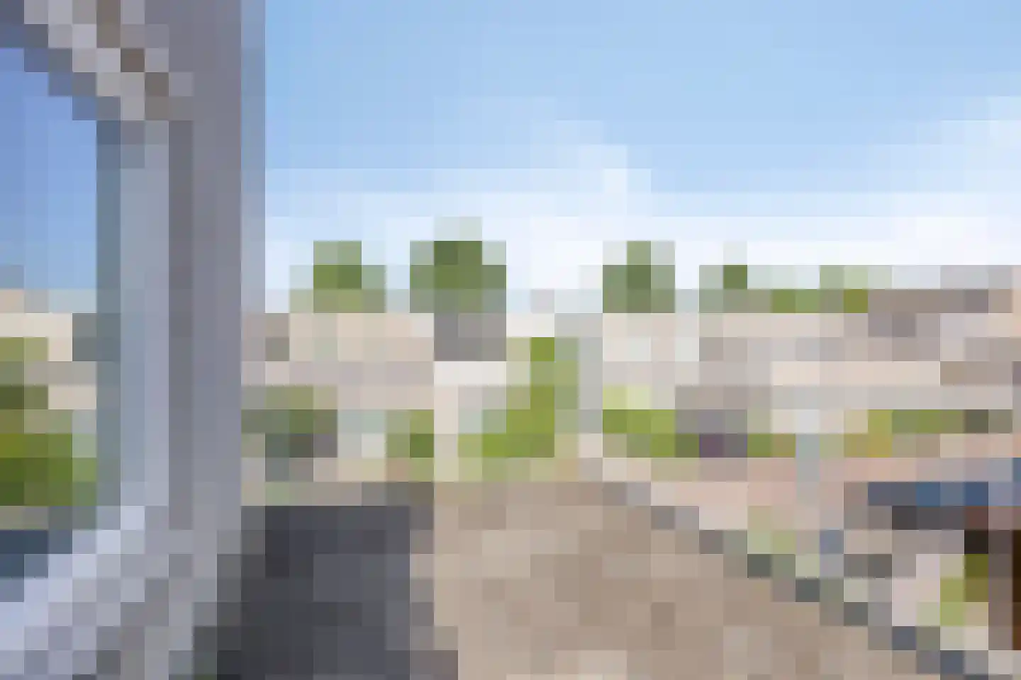 Meloengeel 2 Zoetermeer thumbnail 21