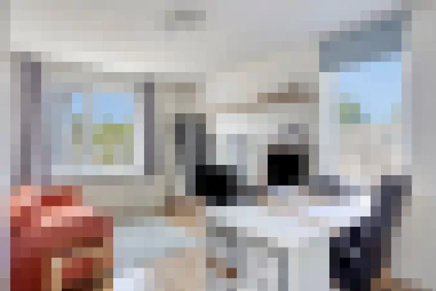 Meloengeel 2 Zoetermeer thumbnail 25