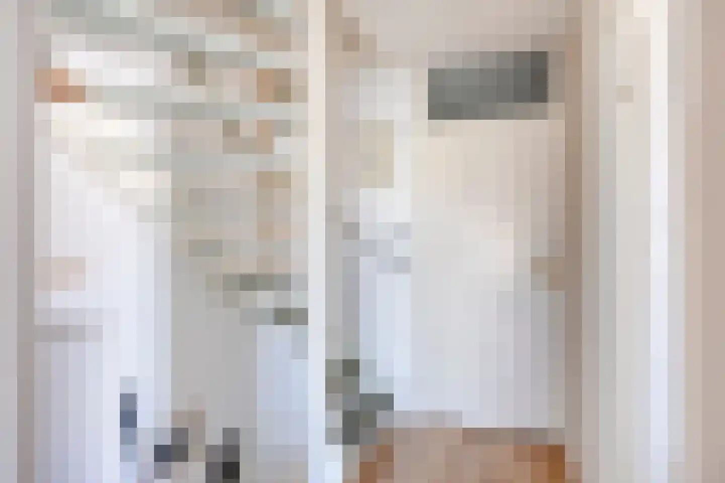Meloengeel 2 Zoetermeer thumbnail 28