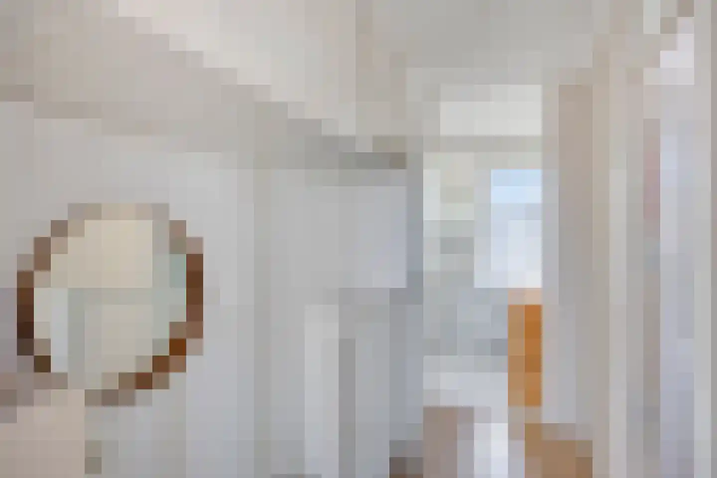 Meloengeel 2 Zoetermeer thumbnail 29