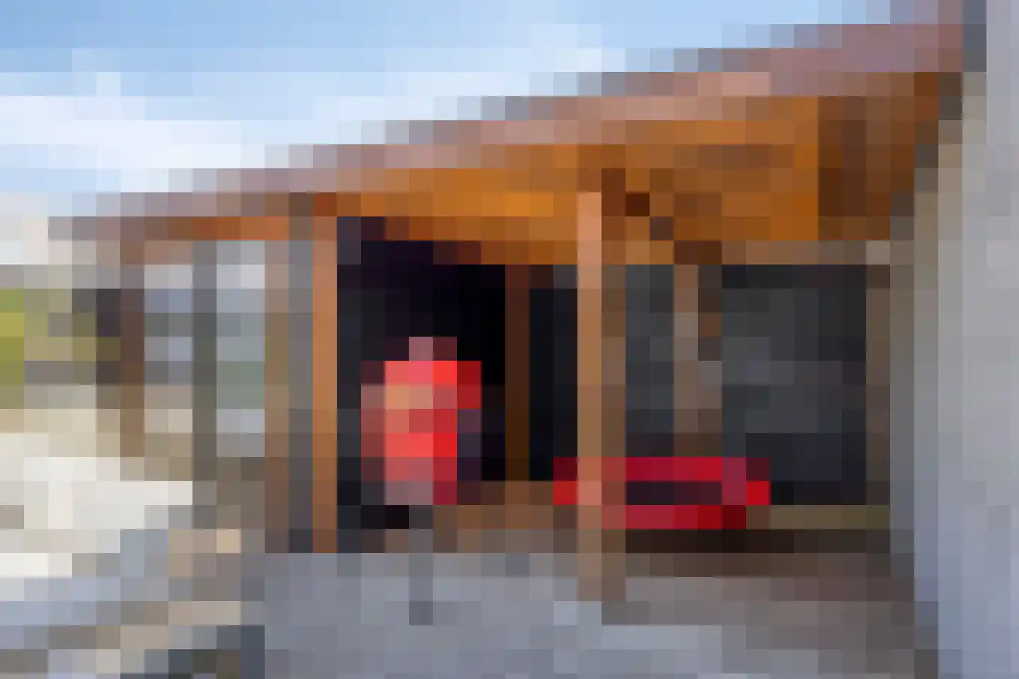 Meloengeel 2 Zoetermeer thumbnail 40