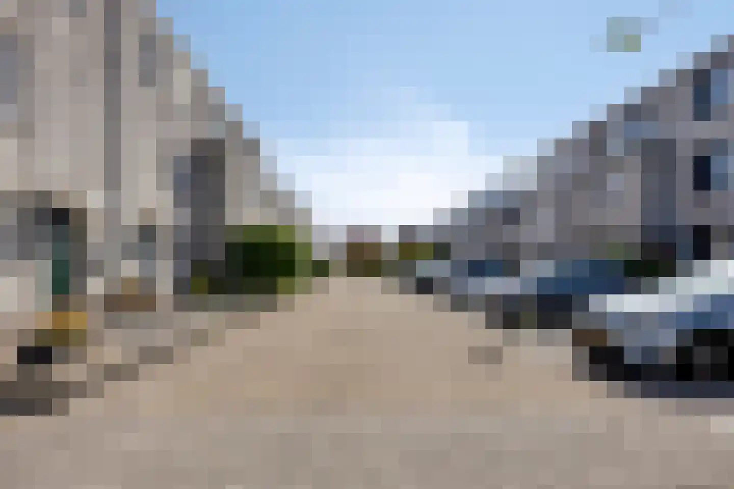 Meloengeel 2 Zoetermeer thumbnail 45