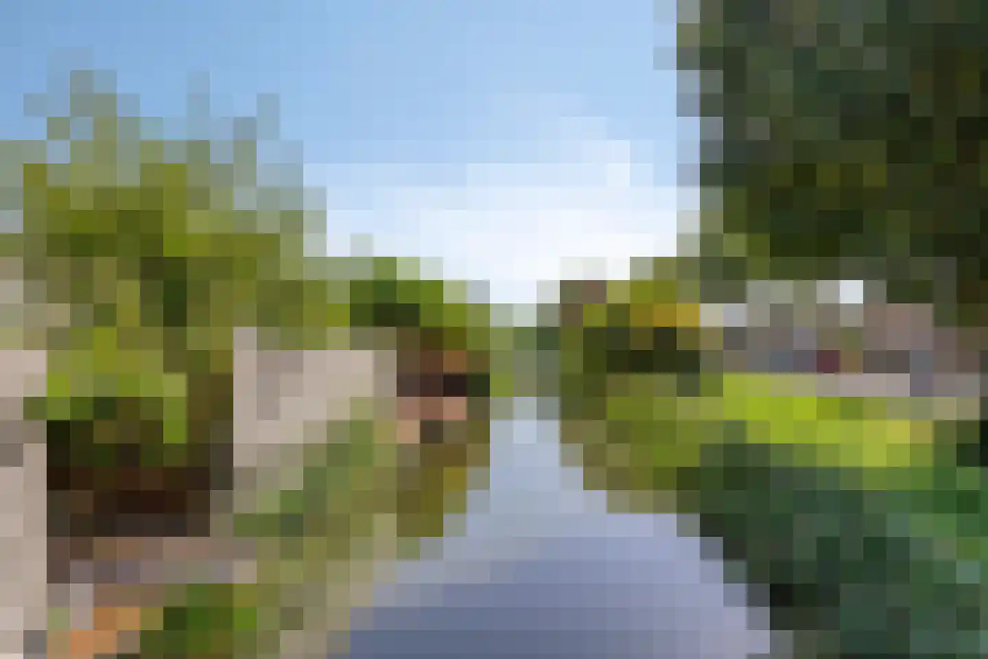 Meloengeel 2 Zoetermeer thumbnail 46