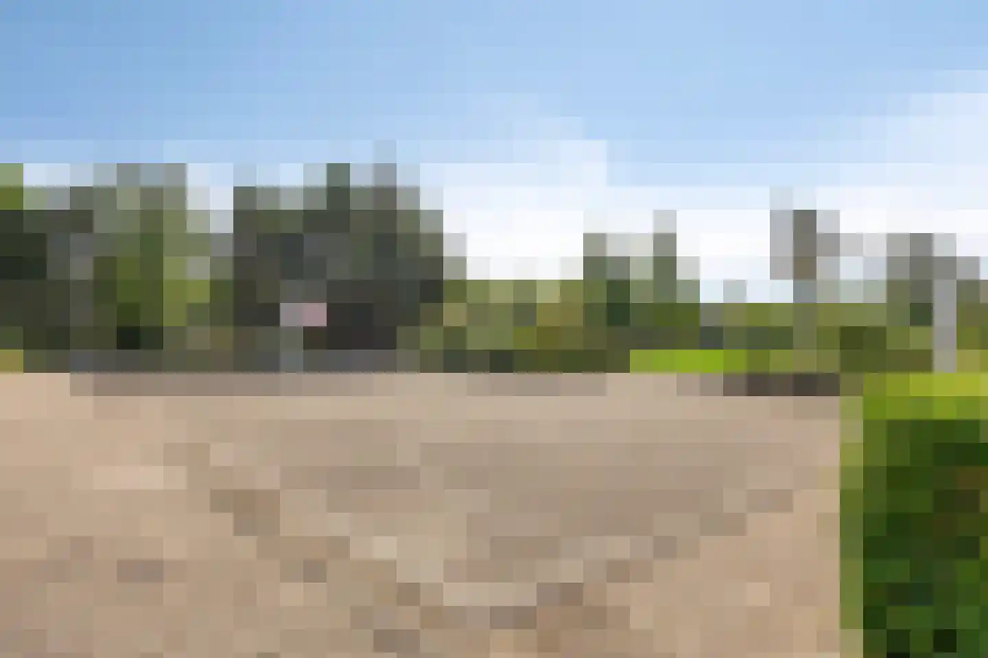 Meloengeel 2 Zoetermeer thumbnail 48