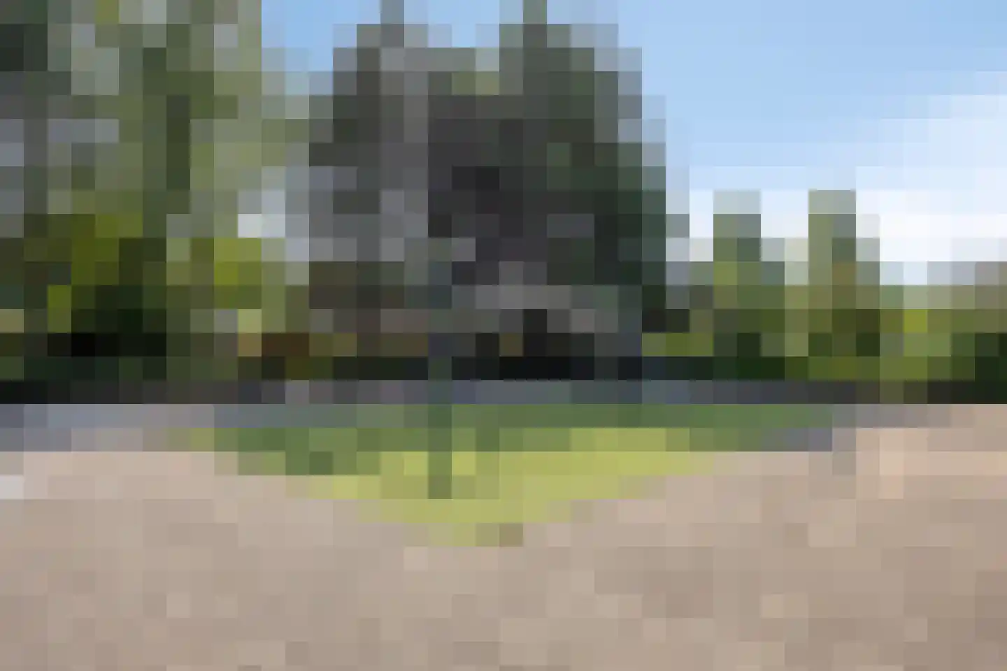 Meloengeel 2 Zoetermeer thumbnail 49