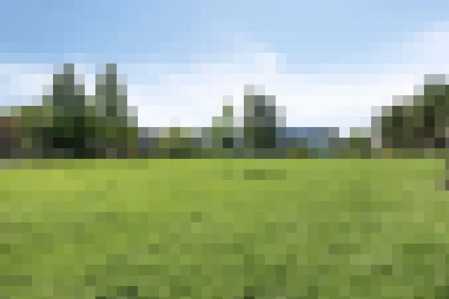 Meloengeel 2 Zoetermeer thumbnail 50