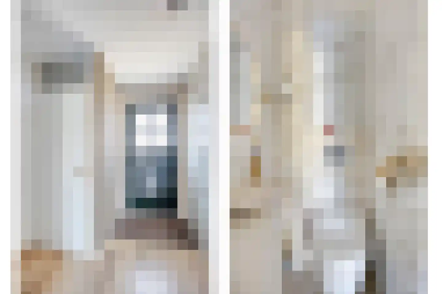 Meloengeel 2 Zoetermeer thumbnail 7
