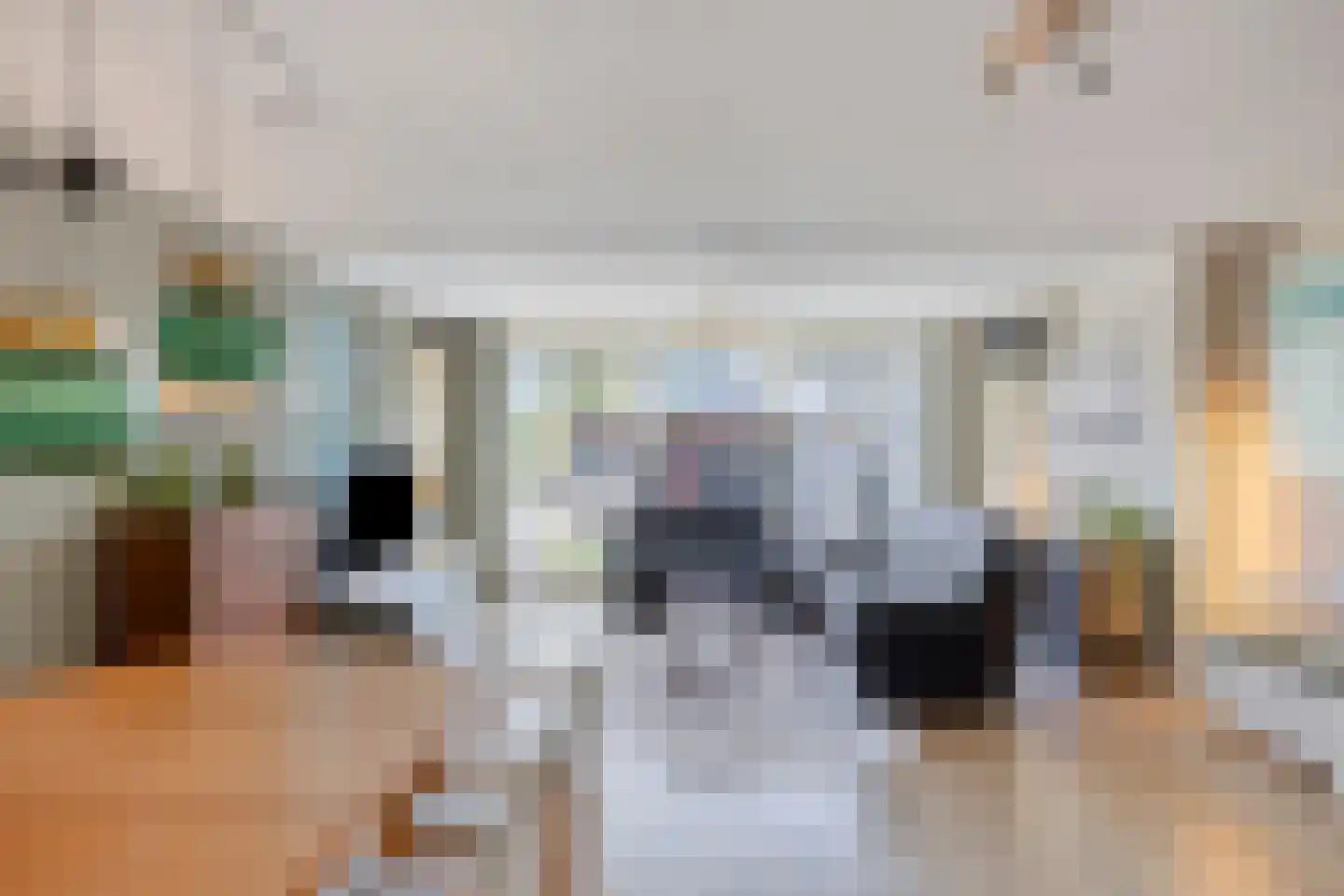 Meloengeel 2 Zoetermeer thumbnail 9
