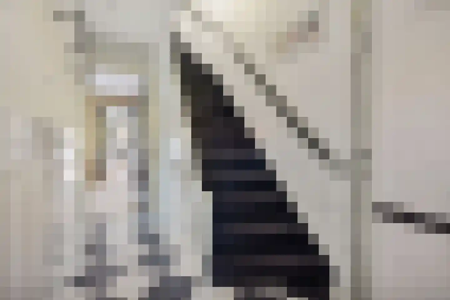 Meloenstraat 10 Utrecht thumbnail 18