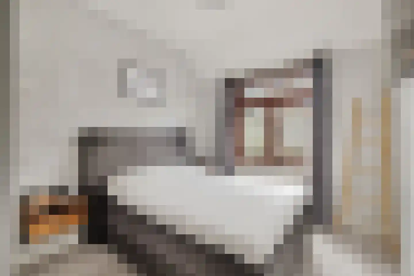 Meloenstraat 10 Utrecht thumbnail 20