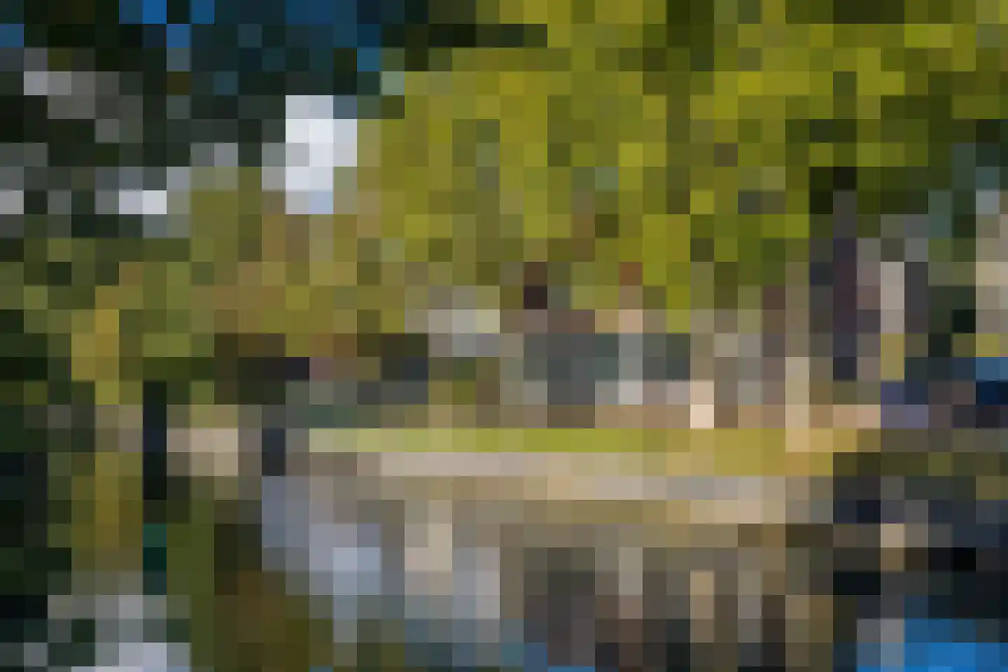 Meloenstraat 10 Utrecht thumbnail 36