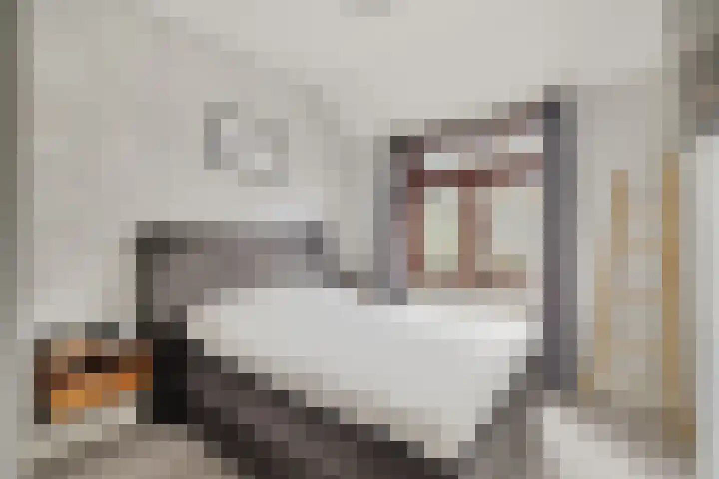 Meloenstraat 10 Utrecht thumbnail 6