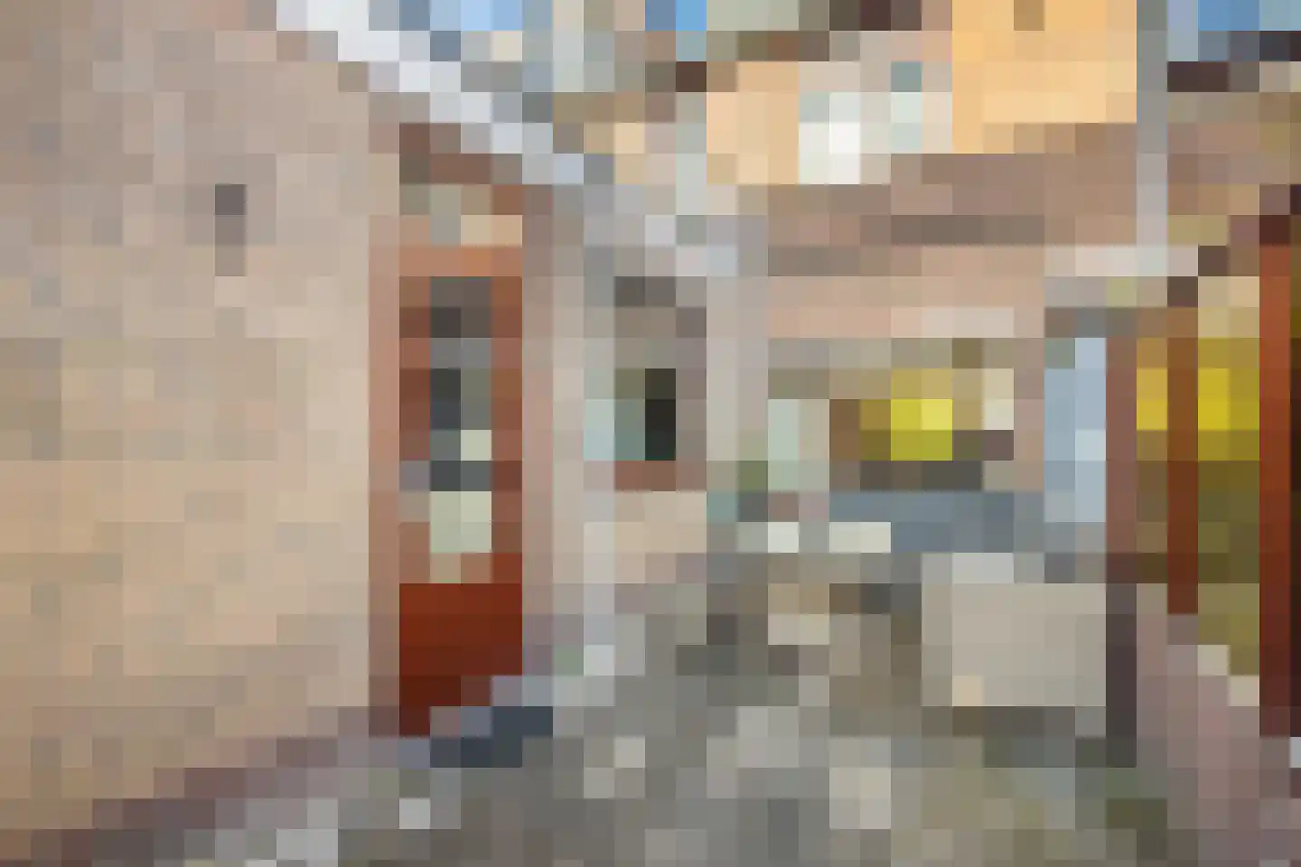 Meloenstraat 10 Utrecht thumbnail 7