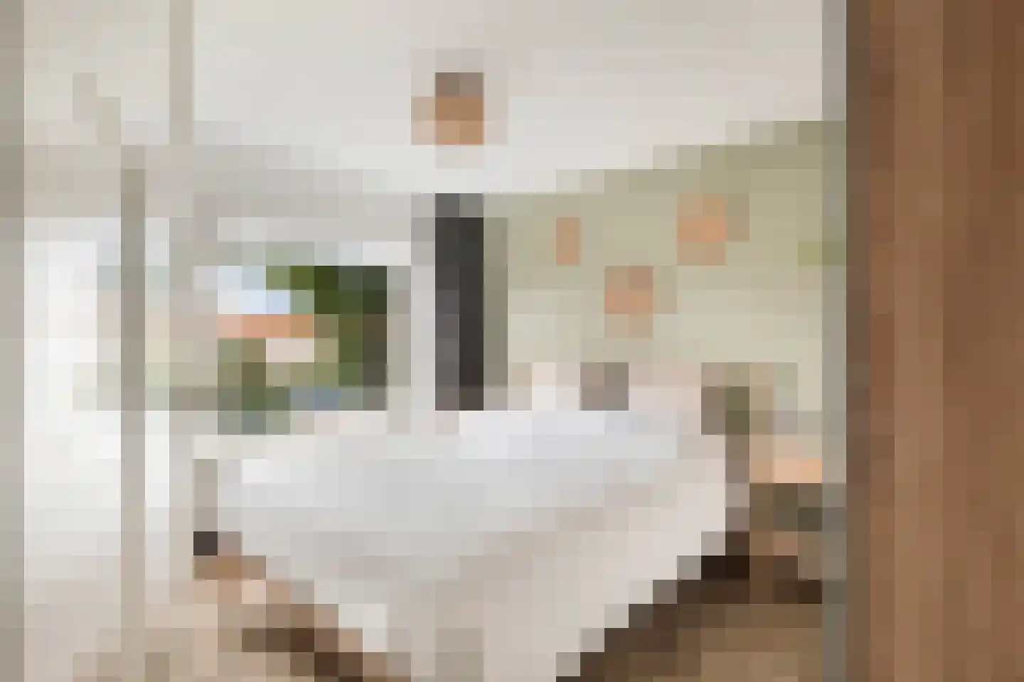 Meloenstraat 18 Naaldwijk thumbnail 22