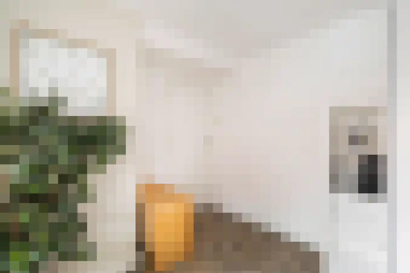Meloenstraat 18 Naaldwijk thumbnail 28