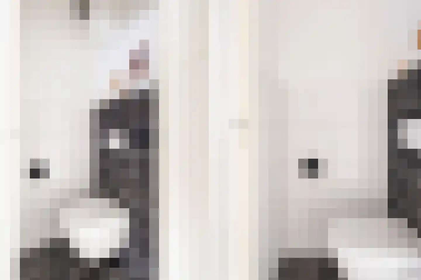 Meloenstraat 18 Naaldwijk thumbnail 38