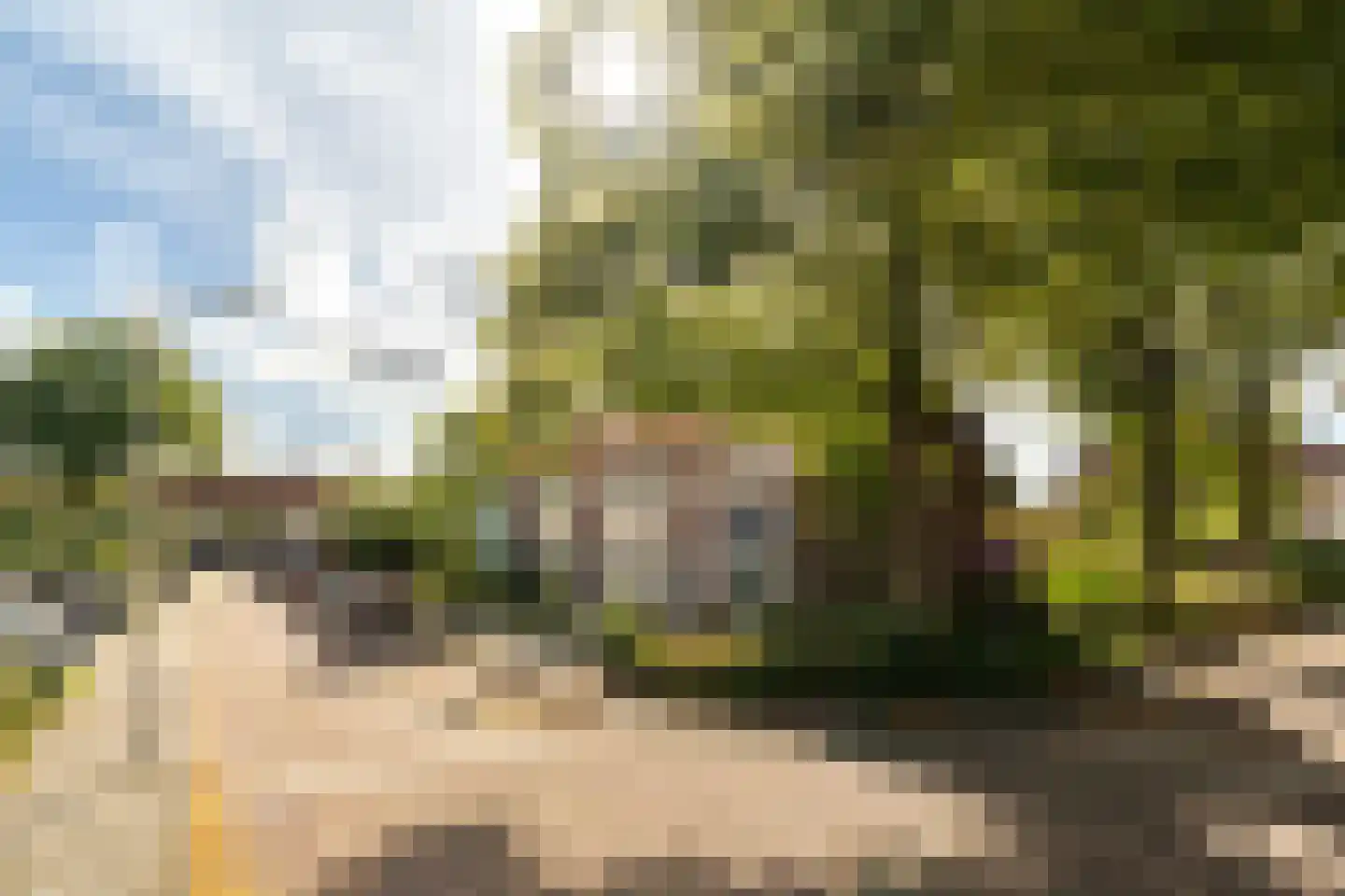 Meloenstraat 18 Naaldwijk thumbnail 42