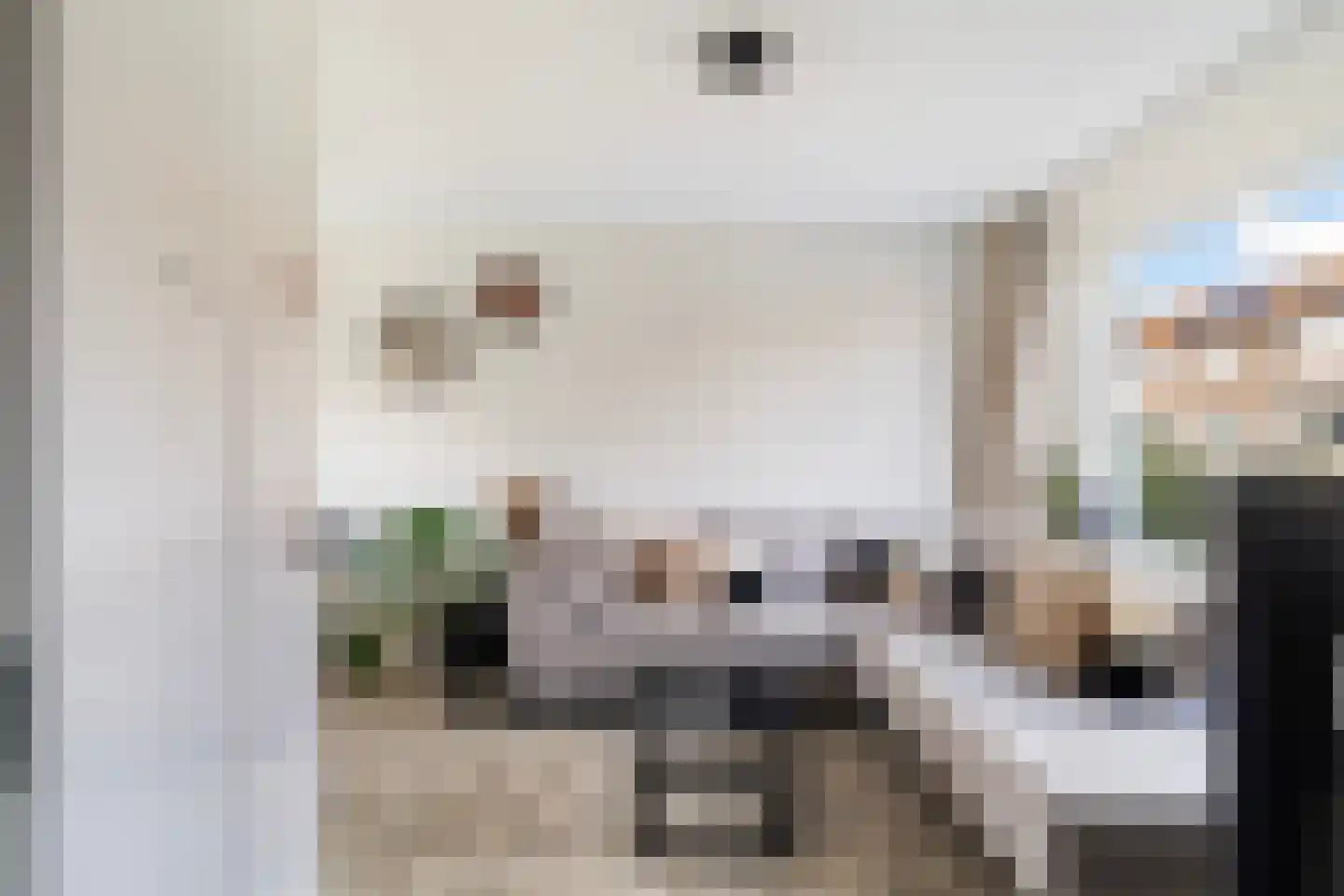 Meloenstraat 18 Naaldwijk thumbnail 5