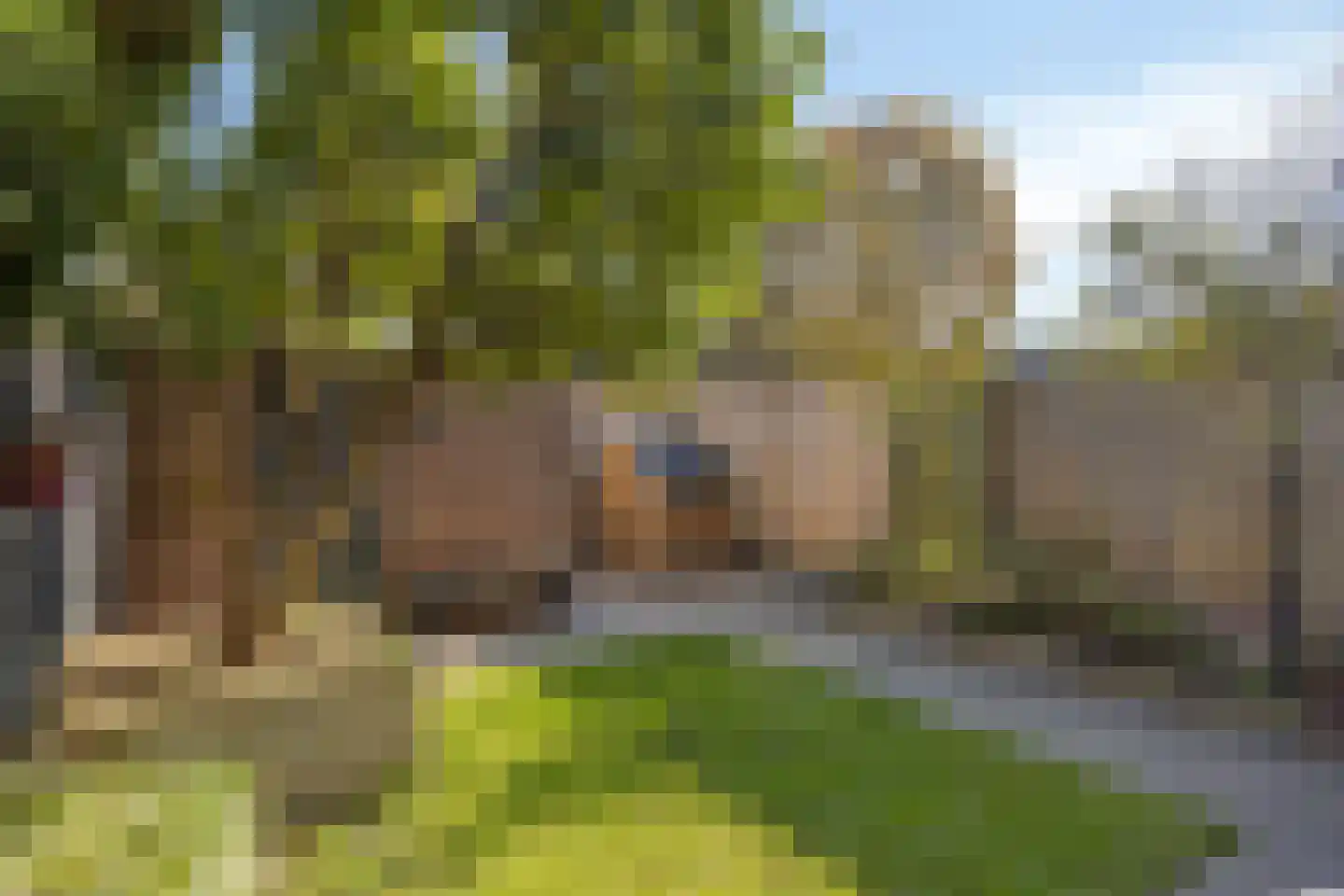 Meloenstraat 20 Nijmegen thumbnail 34
