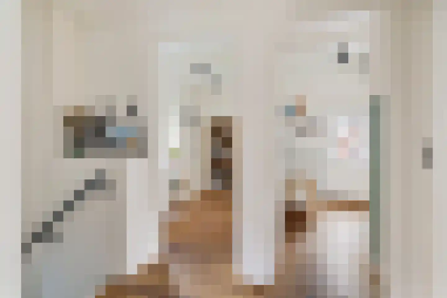 Meloenstraat 27 Utrecht thumbnail 17