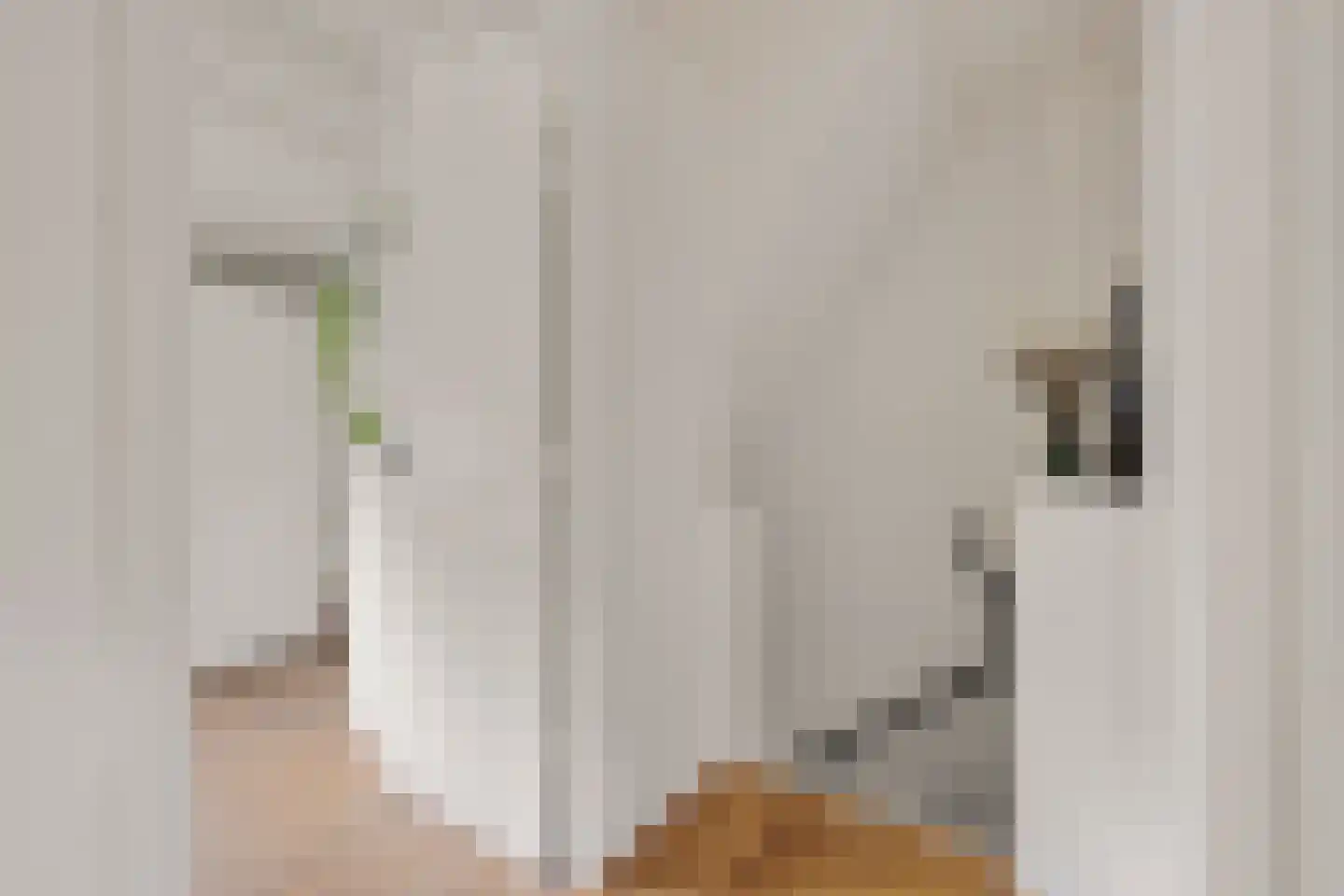 Meloenstraat 27 Utrecht thumbnail 24
